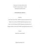 PROGRAMA DE PSICOLOGÍA EPISTEMOLOGÍA POSITIVA