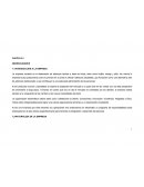 La empresa consiste en la elaboración de aderezos hechos a base de frutas, tales como frutilla, mango y piña