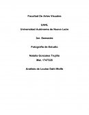 Análisis de Louise Dahl-Wolfe