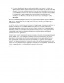 El proceso identificatorio del niño