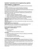Capítulo 7 naturaleza de la organización, espíritu emprendedor y reingeniería