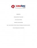 Caso de Estudio Ford Motor Company: Estrategia para la cadena de suministro