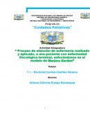 PROCESO DE CUIDADOS PALIATIVOS DE ENFERMERIA