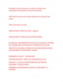 Histologia: actividad