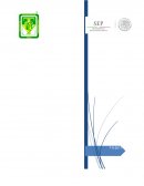 Volumen Estandar ARMC