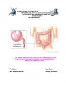 La apendicitis basada en evidencias experimentales