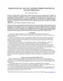 BENEFICIOS DEL USO DEL SISTEMA HÍBRIDO MOTRIZ EN LOS AUTOMÓVILES