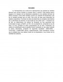 Parte de un informe de lab: Termoquímica