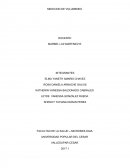 MEDICION DE VOLUMENES