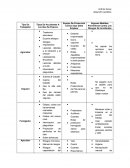 Tipo De Trabajador. Equipo De Protección Común Que Debe Emplear