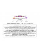 DIAGNOSTICO GRUPAL INICIAL