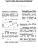 Paper sobre la importancia de los proyectos sociales en países en vías de desarrollo