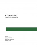 Organización Industrial IIA