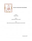 Base ortonormal proceso de ortonormalización de Gram-Schmidt