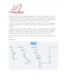 Conceptualizacion capital de trabajo