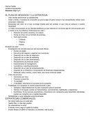 EL PLAN DE NEGOCIOS Y LA ESTRATEGIA