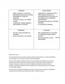 Análisis de la matriz DOFA