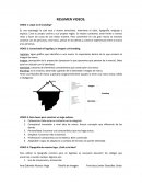 Actividad de branding. ﻿Resumen videos