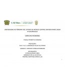 FAMILIA PRIMITIVA ROMANA