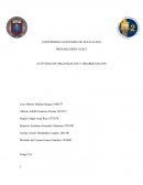 Literatura- Act Organizacion y Jerarquizacion