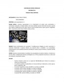 INFORMATICA TRABAJO FINAL EMPRESA