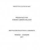 PROYECTO DE CULTIVO DE MAIZ