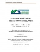 PLAN DE INTRODUCCIÓN AL MERCADO PARA ROUGE JARDÍN