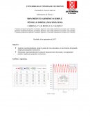 MOVIMIENTO ARMÓNICO SIMPLE PÉNDULO SIMPLE (MATEMÁTICO)