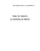 TEMA DE ENSAYO: LA ADOPCIÓN EN MÉXICO