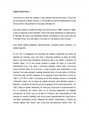 Caso Nueva Coca Cola