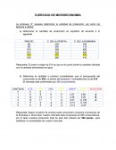 EJERCICIO DE MICROECONOMÍA