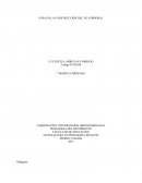 ENSAYO LA CONSTRUCCIÓN DEL YO CORPORAL