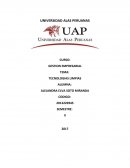 GESTION EMPRESARIAL. TECNOLOGIAS LIMPIAS