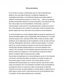 Microcontroladores ensayo