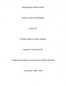 Informática III Trabajo de Investigación: Contaminación del Medio Ambient