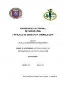 BATALLA DE MONTERREY-ESTADOS UNIDOS