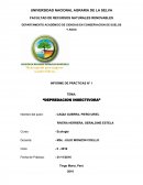 INFORME DE PRÁCTICAS N° 1