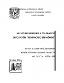 En la actualidad en México el problema más frecuente y del que mucha gente desconoce y en ocasiones promueve sin darse cuenta es el Feminicidio