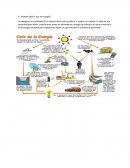 Biología - Energia