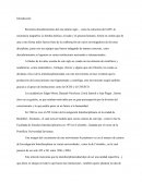 Definiciones y taxonomía de la inter y transdisciplinariedad