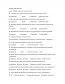 EXAMEN DE INFORMATICA
