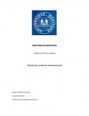 COMERCIO EXTERIOR Y ADUANAS - Teoría de comercio internacional