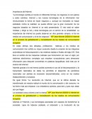 Cual es la Importancia del internet