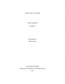 Cuadro comparativo actividad 3.1 de gestion ciencia y tecnologia UDES