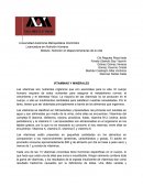 Oligoelementos Nutrición en etapas tempranas de la vida