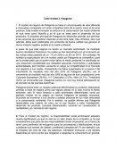 Caso Unidad 2. Resumen Patagonia