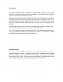 Como se da un Control de la produccion