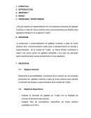 Caso empresa productora de galletas nutritivas a base de frutos andinos