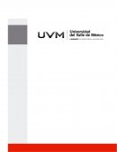 Actividad 1 Estrategias de aprendizaje