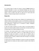 Modelo canvas ensayo